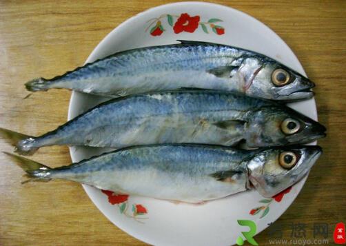 食用青占鱼的注意事项-青占鱼的营养价值