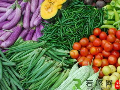 蔬菜主要向人们提供什么营养