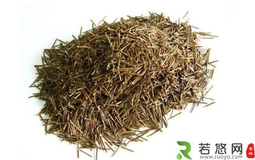 松针茶的制作方法 松针茶的功效