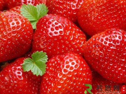 草莓的营养价值、功效与作用、食用禁忌