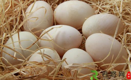 每天一个蛋好处多 细数鸡蛋的功效