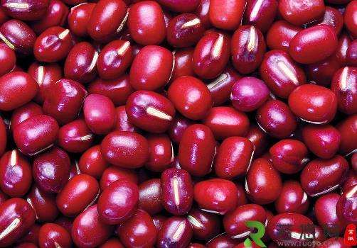 赤小豆和红豆有什么区别？赤小豆和红豆的功效与作用