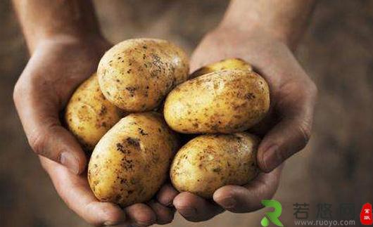 土豆能减肥吗？这样吃土豆最易长胖！