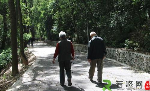 七种不适合老人的散步方式
