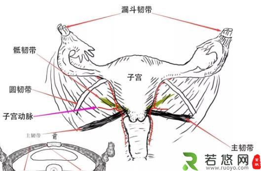 保养子宫这几件事一定不要做 不然又老又丑