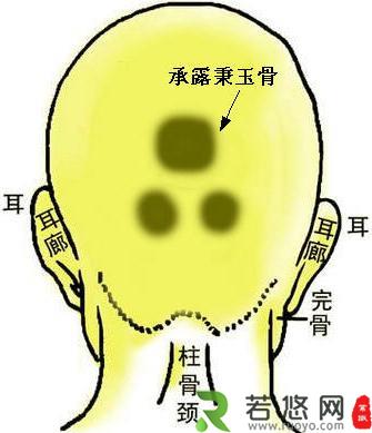 骨相图解：承露秉玉骨