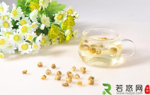 上班族用眼疲劳了怎么办? 多喝菊花茶能明目