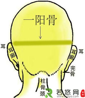 骨相图解：一阳骨