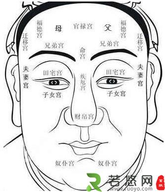 面相学中的面相十二宫的含义