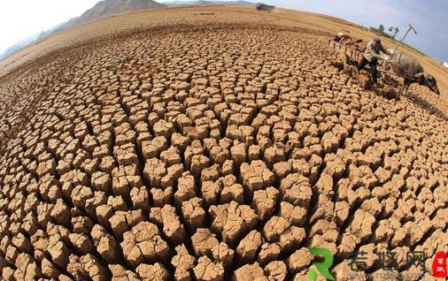 6月17日是什么节日？世界防治荒漠化和干旱日