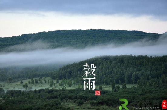 谷雨是什么时候？二十四节气之谷雨的由来与含义