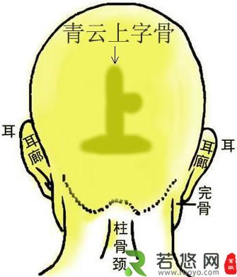 骨相图解：青云上字骨