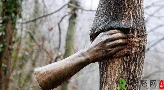 世界上最孤独的手 握了半个世纪树干 游客却说太残忍