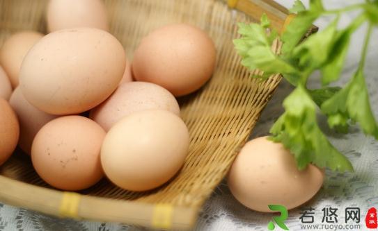 吃鸡蛋营养-但孕妇不可盲目吃鸡蛋