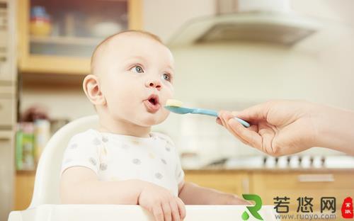 哪些食材适宜制作辅食粥