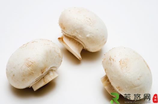 4种常见蘑菇的营养价值 适用于孕妇补充营养