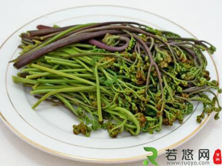 孕妇吃蕨菜有什么好处？孕妇吃蕨菜的做法