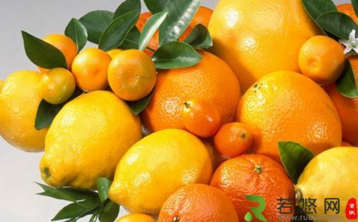 柑橘类水果虽有营养 进食过多会增肥哦