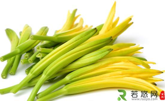 黄花菜被称为健脑菜好处多多 但吃不对或会引起中毒
