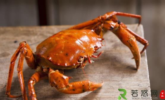 关于螃蟹的谣言你信过吗 正确食用螃蟹放心享受螃蟹盛宴