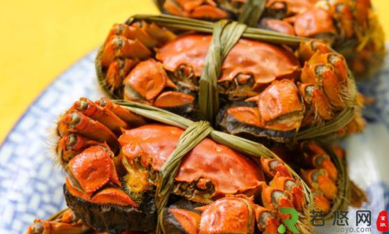 关于螃蟹的谣言你信过吗 正确食用螃蟹放心享受螃蟹盛宴