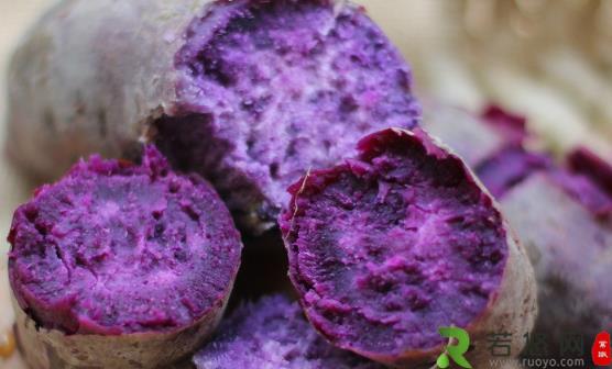 紫薯和红薯的营养区别 紫薯特别适合三高人群