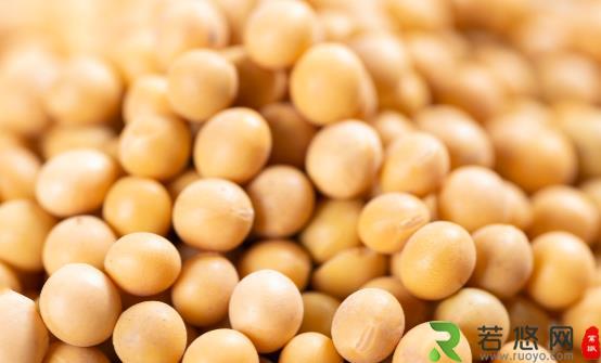 常吃的大豆居然有这些功效 大豆怎么做营养最高