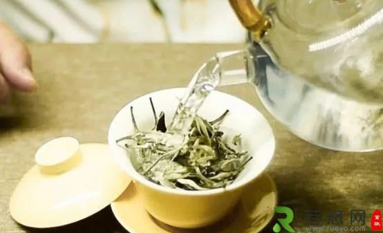 喝茶能达到保暖养生的功效 养生茶补足气血增免疫